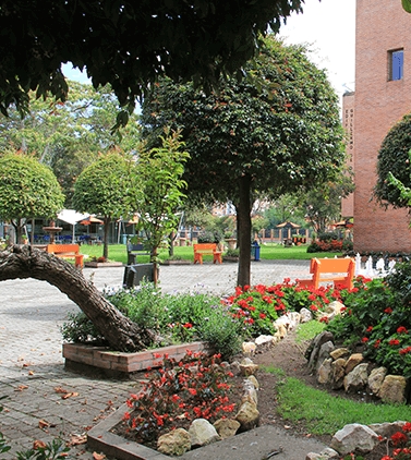 Documentos Institucionales