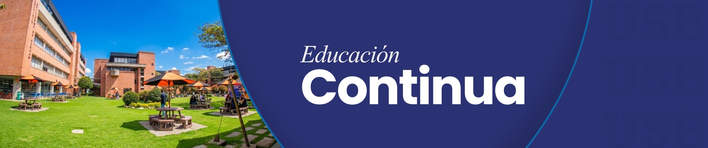 Educación Continua